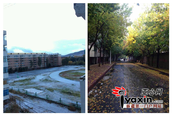 阿勒泰市民拍摄的图片。