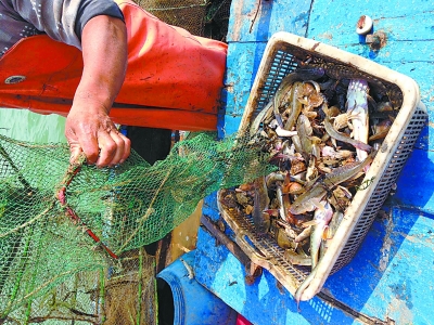 打捞假日金忙晕唐山渔夫|游客|景点