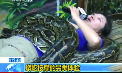 用蟒蛇按摩,央视女记者拼了!