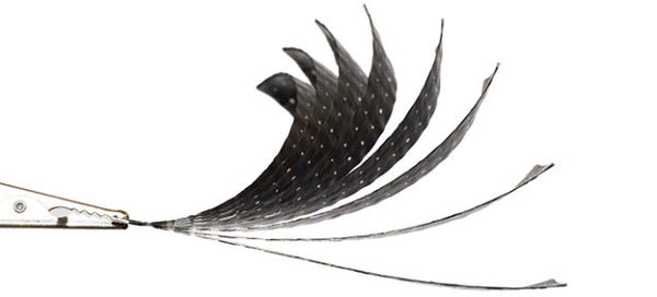 3D打印可活性木材和碳素纤维|碳素纤维|组装