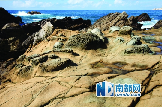 ●火山岩在海浪侵蚀下变形扭曲，形成大鹏半岛海岸独特的海蚀地貌。