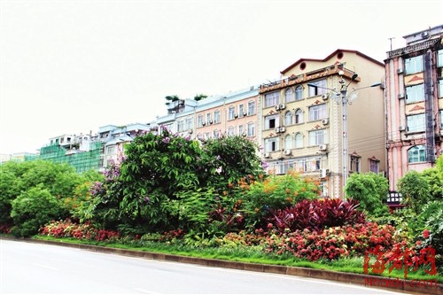 绿化隔离带上既种树也种花,色彩丰富,很养眼