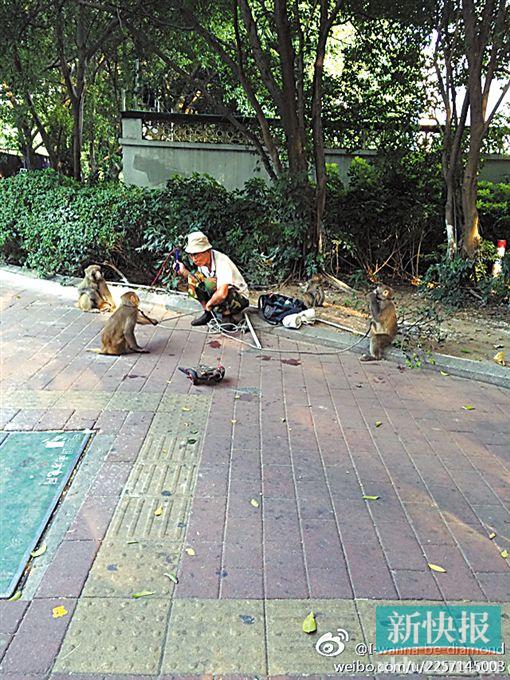 @I-wanna-be-diamond :一个农民在广州正佳广场附近这样对待猴子,感觉动物们很可怜,还不时用鞭子鞭他们!!!真想找动物协会告状,虐待动物啊!