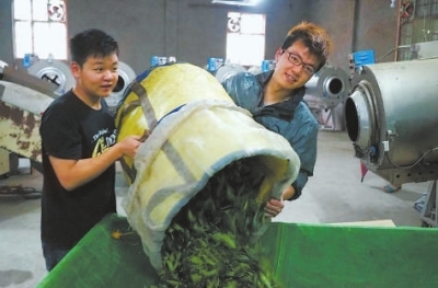 台农张梓平的两个儿子在车间里忙碌。