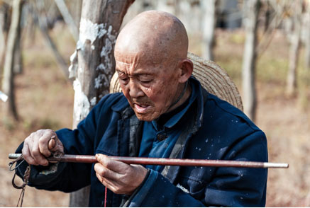 当地居民卖的野生板栗、银杏果、野生核桃