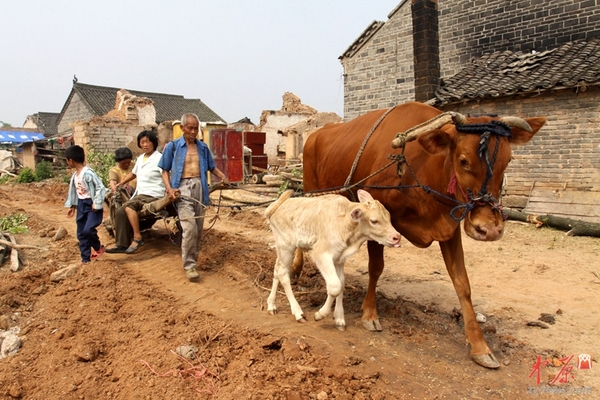 2010年6月16日，河南省南阳市淅川县滔河乡凌岗村，等待搬迁的村民。