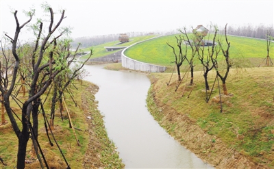 　　滨湖湿地公园前用渣土堆起来的景观