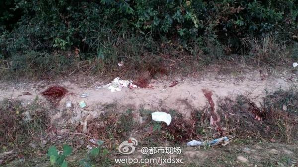 图为事发现场。 图片来源：海外网