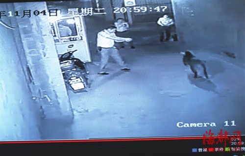 三名警察追堵野猪，两人拔枪，中间一警察开枪打野猪