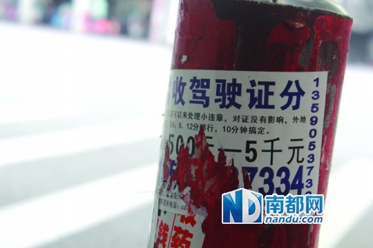 高价收购驾照分每天能收80分