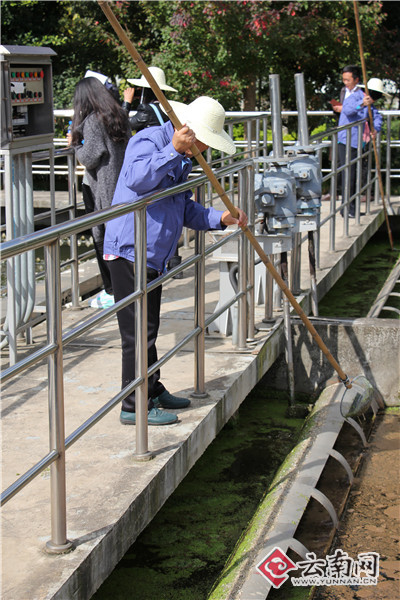 滇池岗位体验者下水槽、清淤除渣 感受不一样