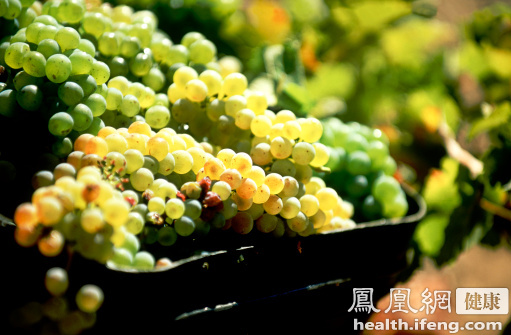 保健:男人吃这3种籽壮肾生精|亚麻子| 皮肤_凤凰