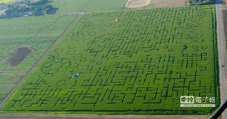 全世界最大的玉米迷宫“酷补丁南瓜”，占地63英亩荣获金氏世界纪录认证。（图片由台媒取自geyserofawesome.com）