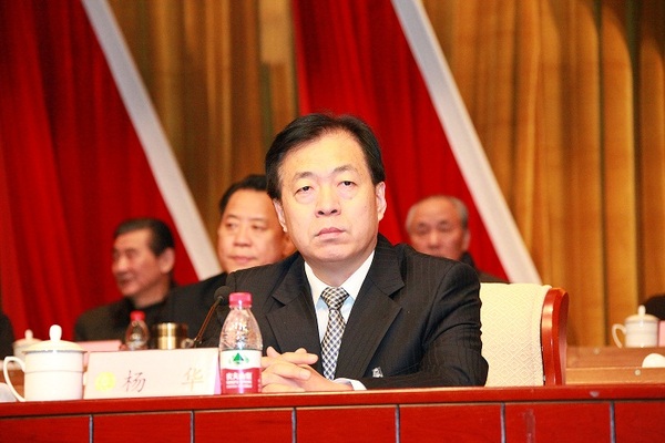 济南市槐荫区政协主席杨华