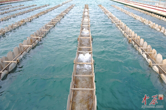 　　郑州刘湾水厂沉积池内，清澈甘甜的丹江水正在不断涌入。