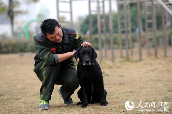 图为搜救犬“黑豹”和他的新主人宋加迅在训练场上一起训练。