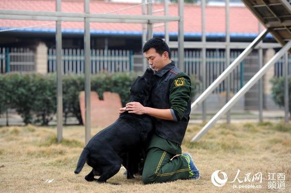 图为搜救犬“黑豹”和他的新主人宋加迅在训练场上一起训练。
