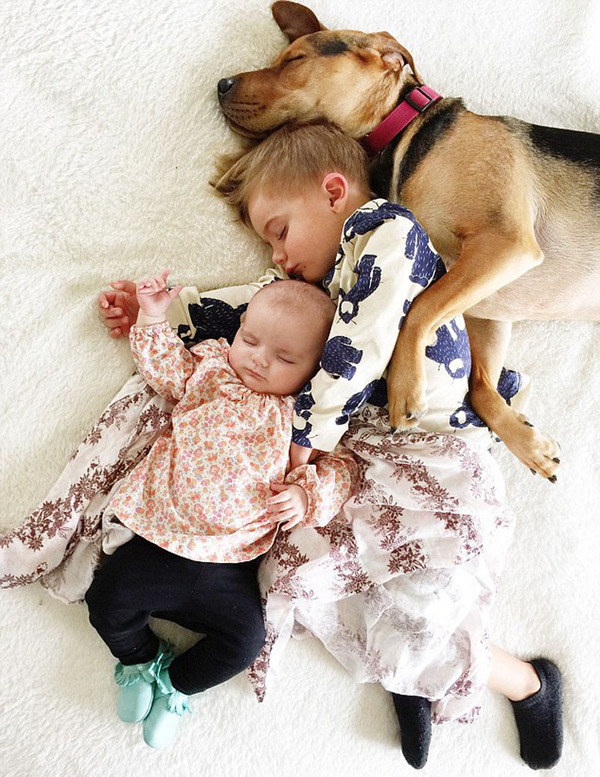　　在这张照片中，两个宝宝与小狗都睡得心满意足。