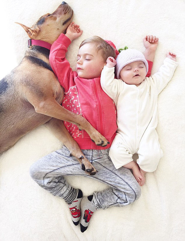 　　希巴家族最新出生的成员伊万杰琳加入到午睡行列。