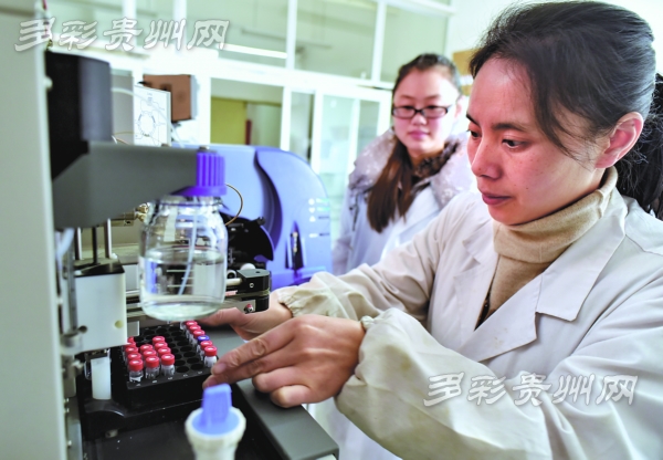 　　实验室里,张钰萍使用高分辨液相色谱质谱联用仪做检测实验。