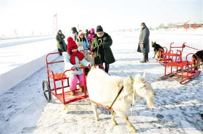 来呼兰河口湿地公园 雪上游戏让你嗨翻天|游客