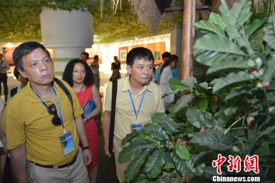图为游客参观澄迈福山咖啡文化馆。 骆云飞 摄