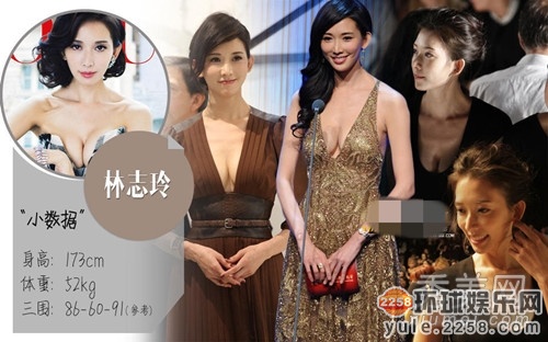 娱乐报报/真实女星三围资料张雨绮柳岩林志玲身材好!