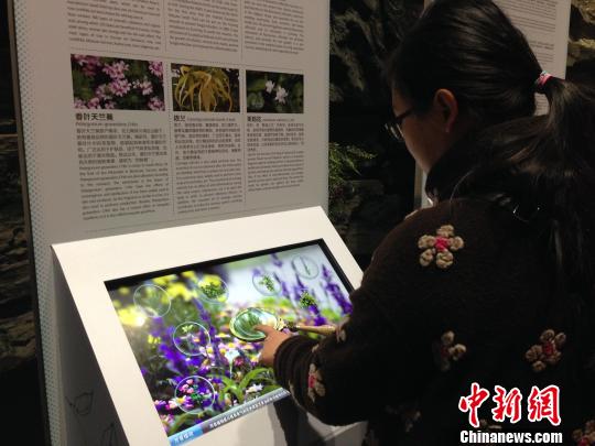 图为游客通过电子设备查阅云南香料植物相关知识　和晓莹　摄