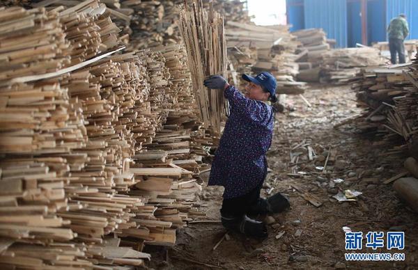 1月25日，胡凤莲把木材捆好后堆放在一起。