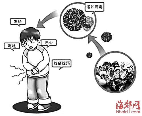 贝类海水产品煮熟煮透 有呕吐腹泻症状要注意