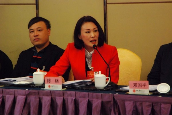 湖南两会审议政府工作报告:代表抢话筒发言