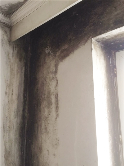 家里墙<em>长毛</em> 暖气常漏 出门路不平 <em>还没</em>路灯|小区