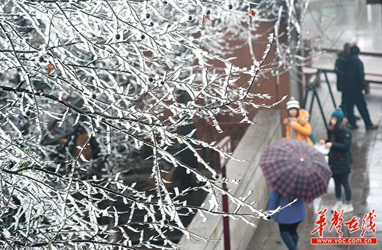 长沙等38县市道路结冰 低温雨雪天气持续至2月
