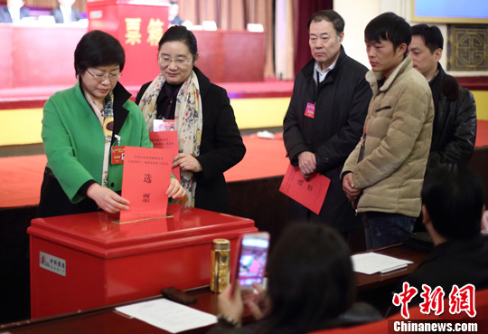 图为委员们投票。中新社发泱波摄