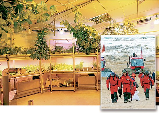 大图：中山站温室实验室内蔬菜生长情况。小图：队员凯旋。