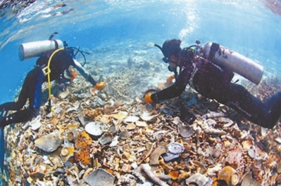 南日考古(资料图片)