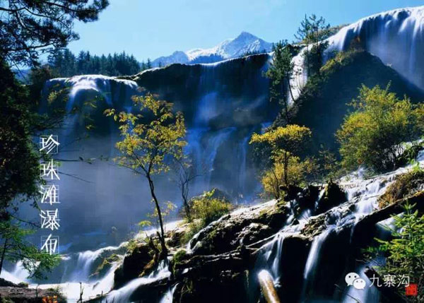 日则沟风景线:明月松间照 清泉石上流