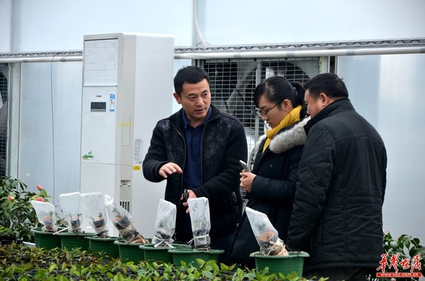 【我的两会梦想】陈刚:让长沙市民像摘草莓一