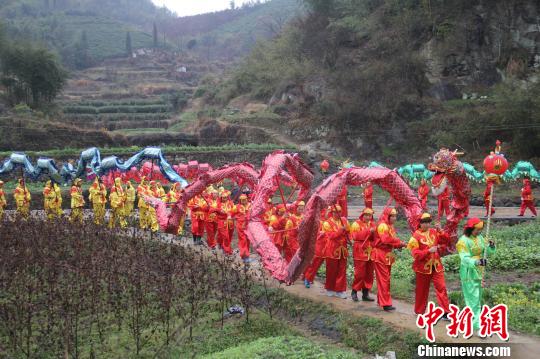 22条“滚地龙”龙灯走街串巷，为乡村节日增添了喜庆气氛。　江康彪　摄