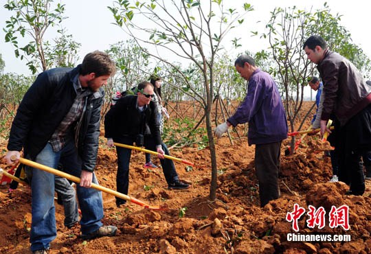 中国植树节:24国百余在鄂外国专家共植友谊林