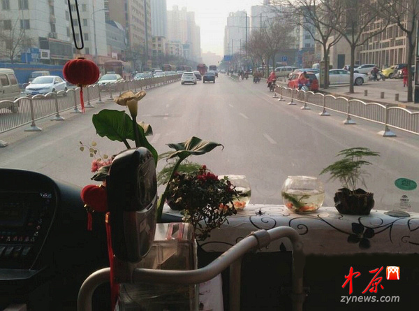 鸟语花香的车厢