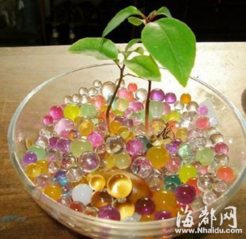 宝宝误吞“水晶宝宝” 妈妈吓得失眠一个月|宝宝|女童_凤凰资讯