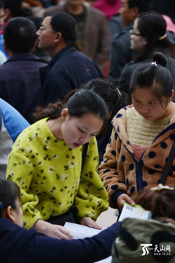 3月21日上午，在新疆巴州春季人才交流会现场，求职者在阅读招聘信息。