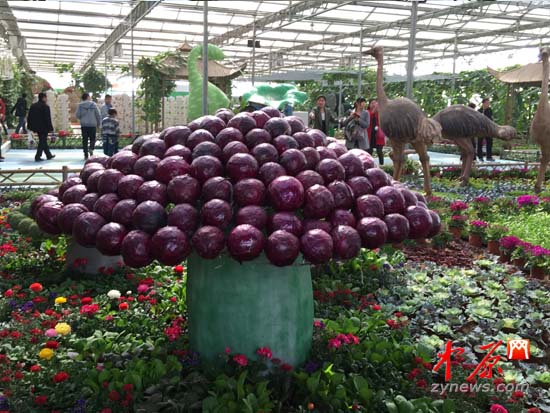 第二届郑州·中牟农业嘉年华盛装开幕 为期67