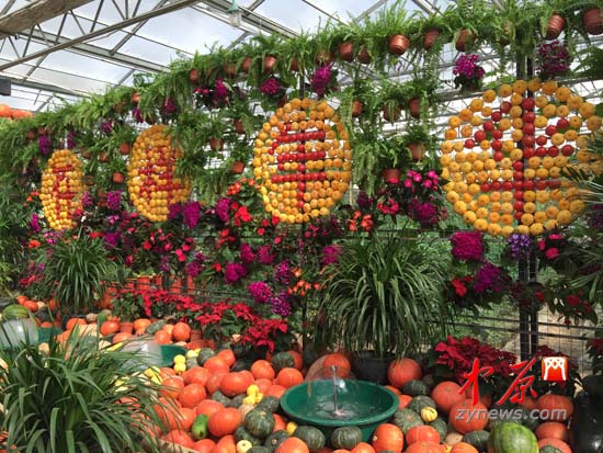 第二届郑州·中牟农业嘉年华盛装开幕 为期67