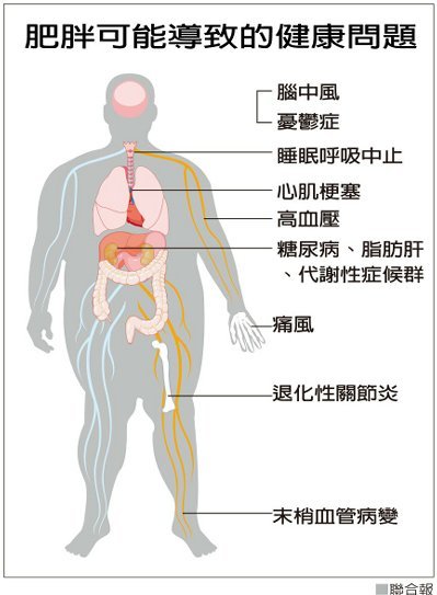 台湾人口问题_五、台湾人口的组成 六、台湾的人口问题与对策 1.人口的问题(3)