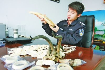 民警查缴的象牙制品、羚羊角等