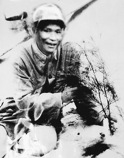 木麻黄试种成活，谷文昌欣喜若狂。　资料图片