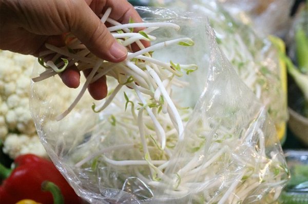 市售豆芽菜经过漂白剂处理让卖相更好。台湾联合报系资料图