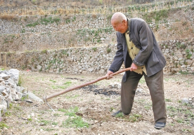 博爱县93岁山中老人下地干活只为活动筋骨